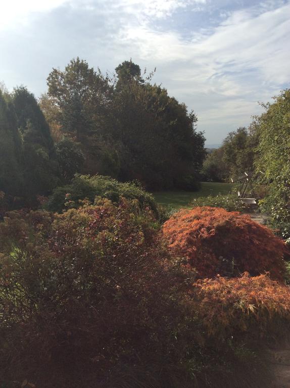 The Hideaway Bed & Breakfast Chelwood Gate Oda fotoğraf